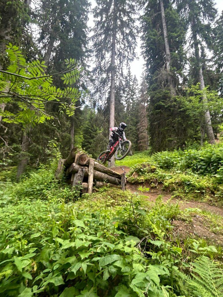 8cb70576 dbf3 4236 8e89 64930da23a3d 2