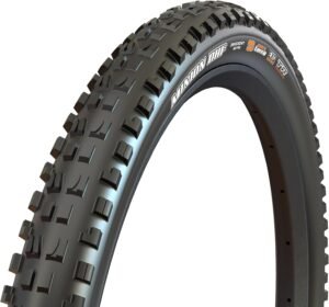 Maxxis Minion vs High Roller